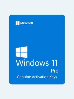 Windows 11 Pro